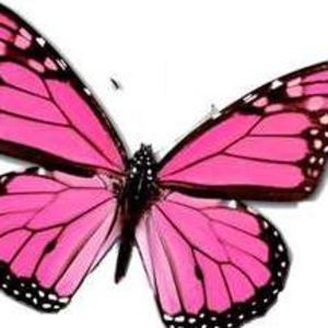 Meet your Posher, Rain